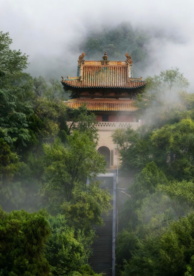 A golden-roofed temple emerging from mist among trees