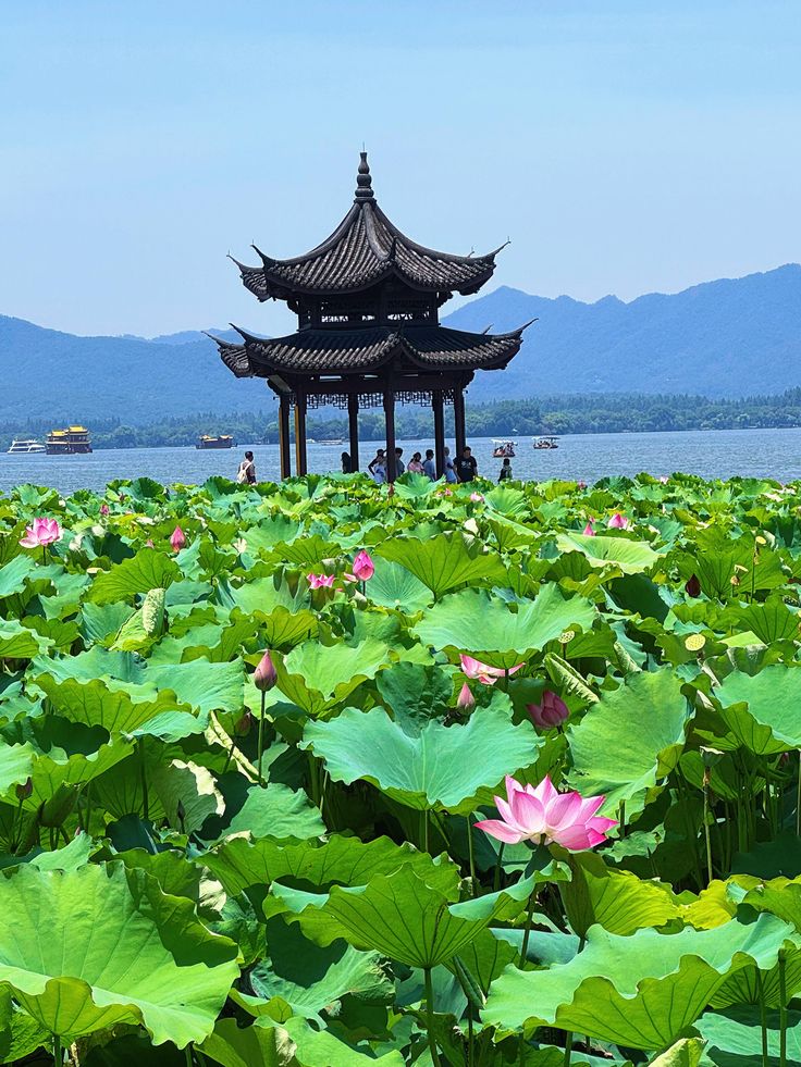 A lotus pond with a pavilion, in the spirit of Mount Lu