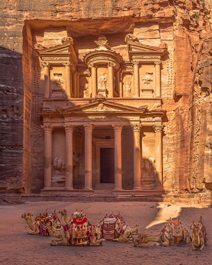 The rock-cut Treasury at Petra with resting camels before it