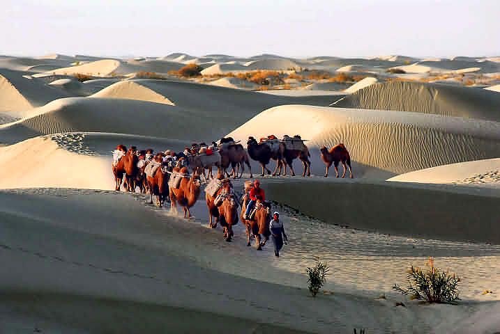 Camel caravan crossing desert dunes along the Silk Road