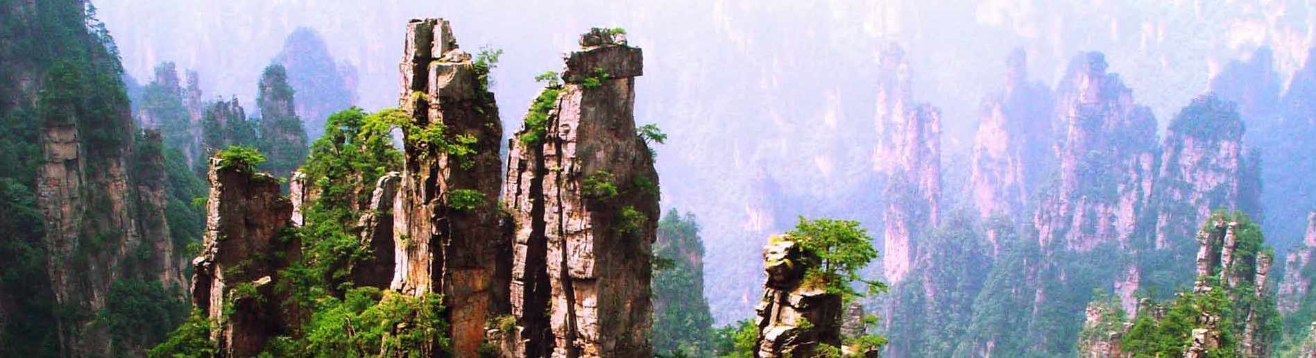 Golden Flower Abbey community gathering