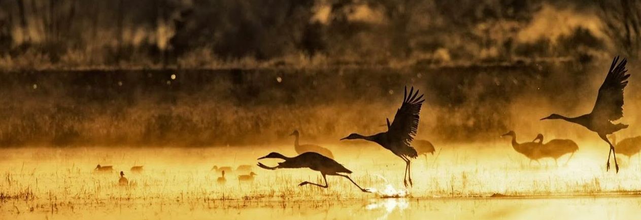 Golden Flower Abbey community gathering